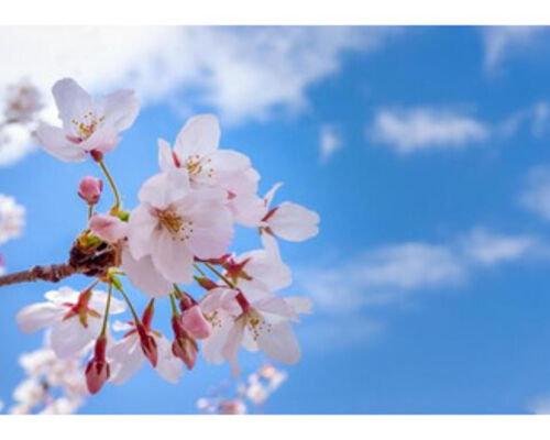 1F4D67E3-5F19-40C4-81A2-90040816B705